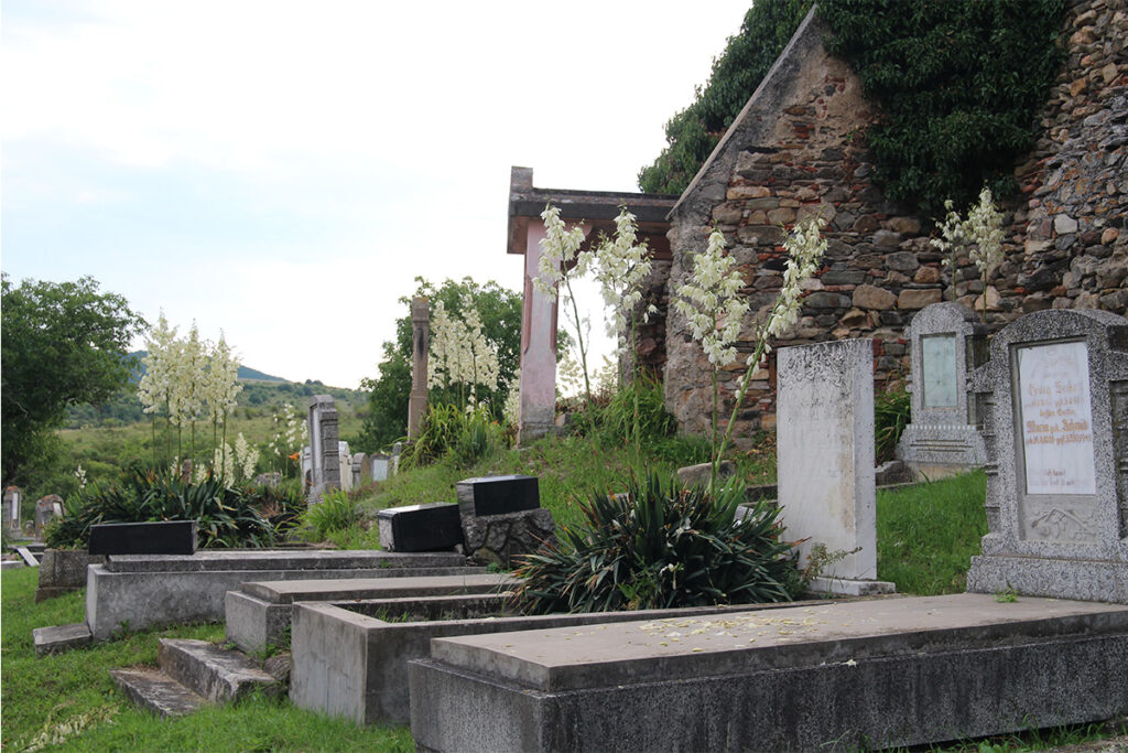 evangelischer Friedhof der siebenbuergisch-saechsischen Gemeinde in Dobring
