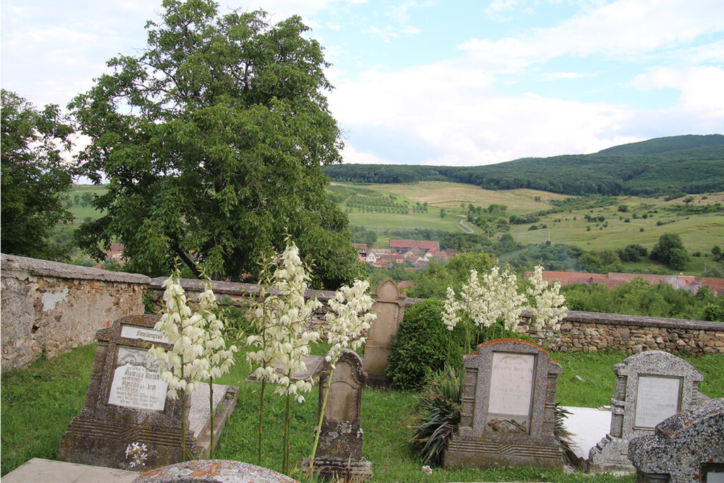 evangelischer Friedhof der siebenbuergisch-saechsischen Gemeinde in Dobring