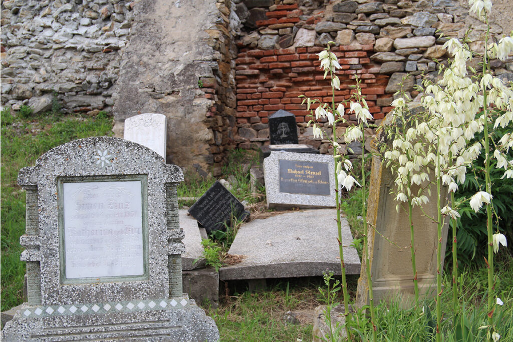 verwuesteter evangelischer Friedhof der siebenbuergisch-saechsischen Gemeinde in Dobring