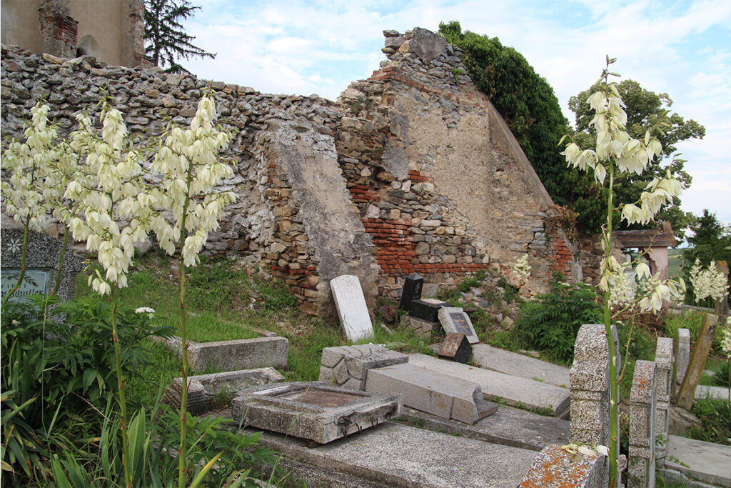 verwuesteter evangelischer Friedhof der siebenbuergisch-saechsischen Gemeinde in Dobring