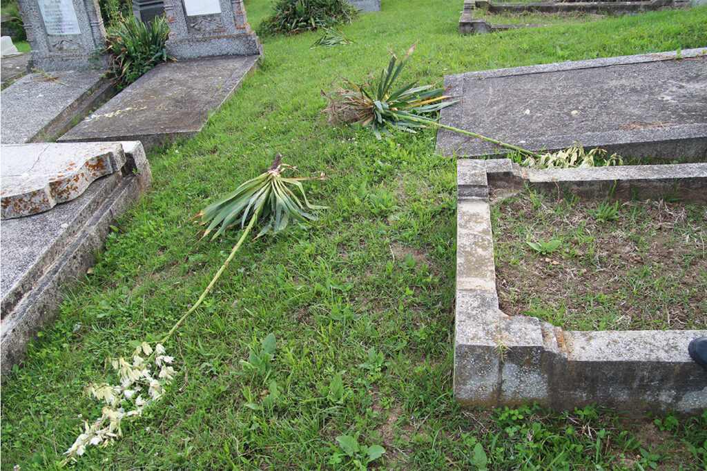 verwuesteter evangelischer Friedhof der siebenbuergisch-saechsischen Gemeinde in Dobring