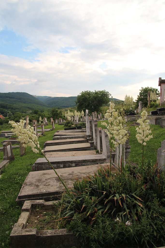 evangelischer Friedhof der siebenbuergisch-saechsischen Gemeinde in Dobring