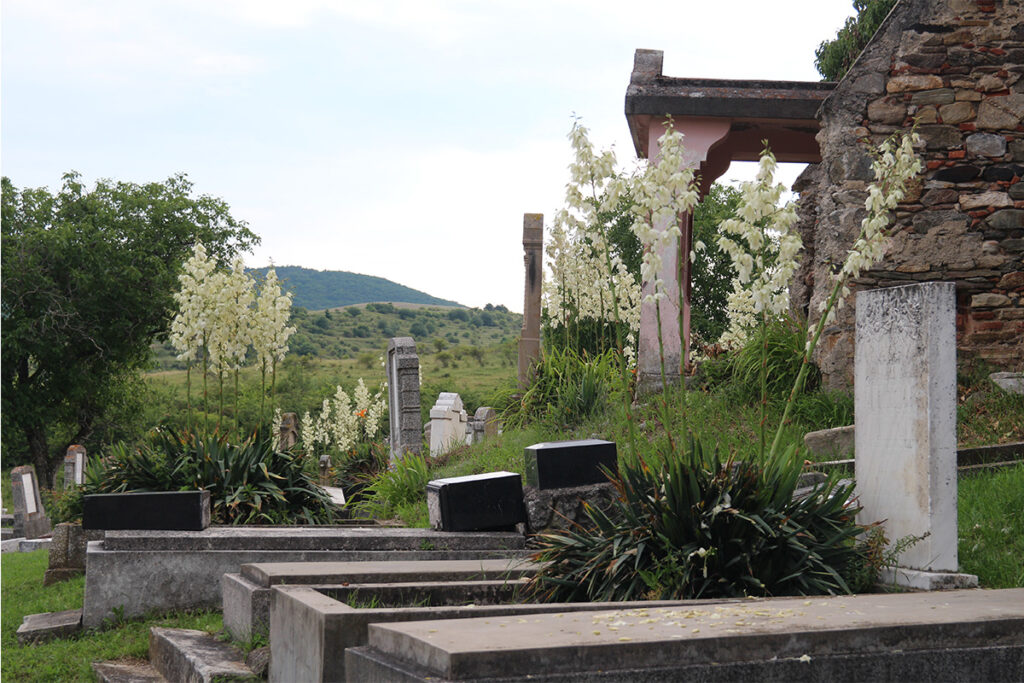 verwuesteter evangelischer Friedhof der siebenbuergisch-saechsischen Gemeinde in Dobring