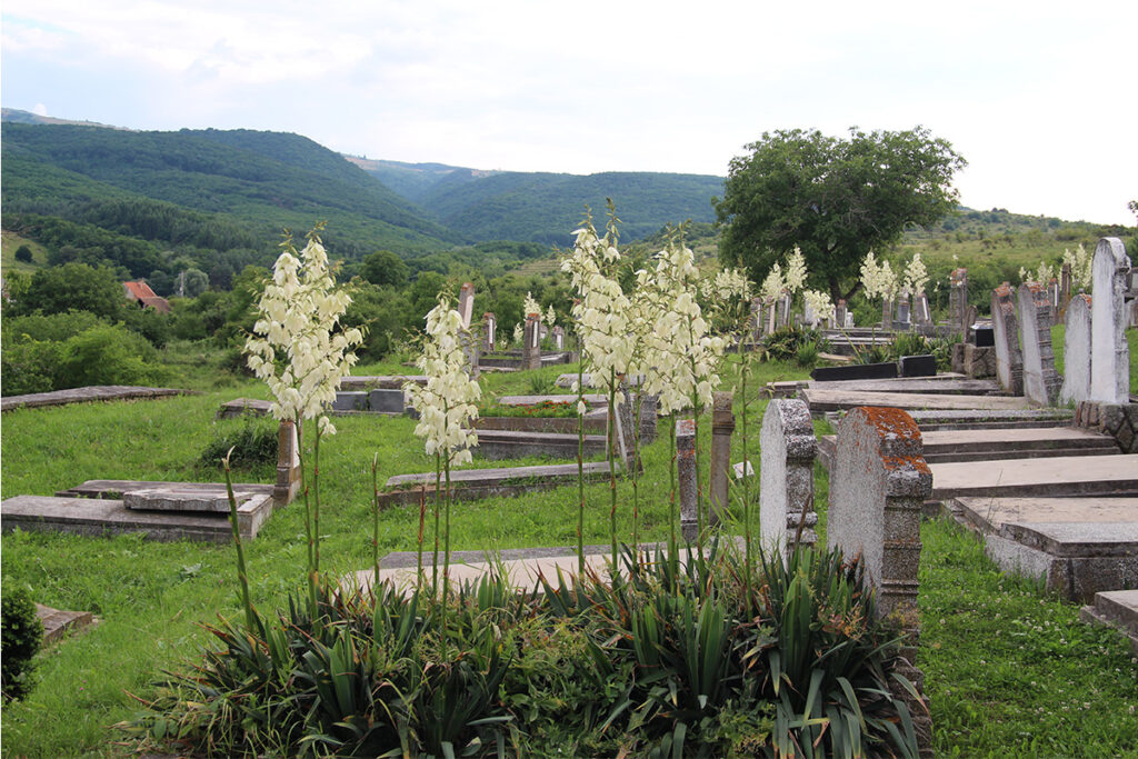 evangelischer Friedhof der siebenbuergisch-saechsischen Gemeinde in Dobring